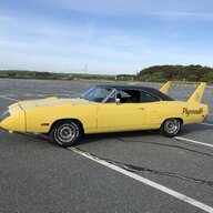 SBird1