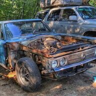 whitetailglass
