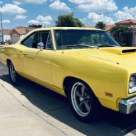 69”WannaBee”451