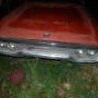 72bbody