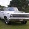 cinci b body