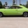 JPK70SUPERBEE