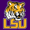 LSU Tiger