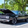 Road Runner6869
