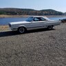 67Bbody