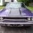 70 PlumCrazy