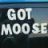 Moose_Moose