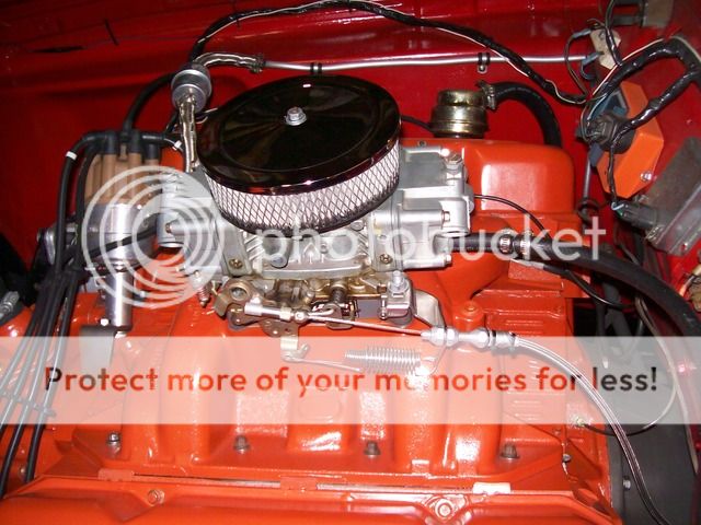 100_1580_zpsxpicdhok.jpg