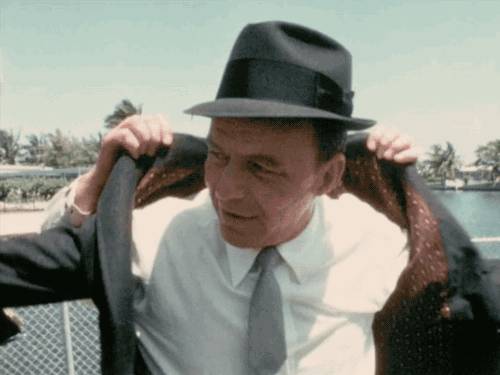tumblr_okvg5u9pEZ1so28u7o1_500.gif