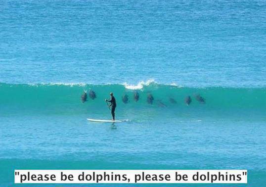 15%20-%20Dolphin%20Prayer.jpg