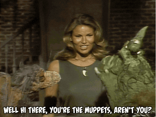 tumblr_nk5lygrEmI1s2wio8o1_540.gif