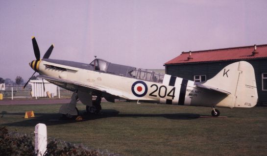 firefly-wb271.jpg
