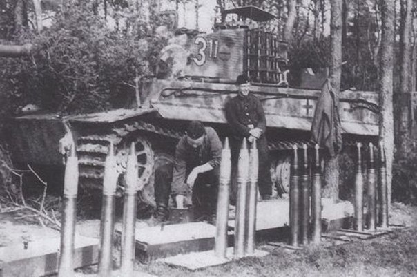 bf_10017.jpg