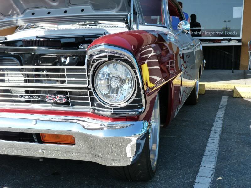 P1010438.jpg