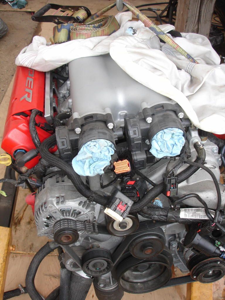 DSC04296_zpstfpcihvw.jpg