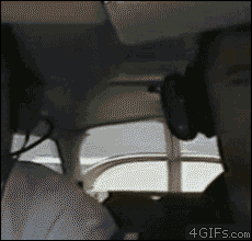tumblr_mqpr8t2g9h1rsw1tvo1_250.gif
