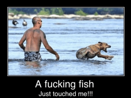 tumblr_lsrwciYcwG1qhjym5o1_500.png