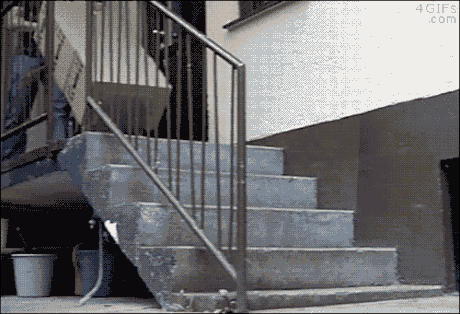 tumblr_nuo8slvgV51rq1pj8o1_500.gif
