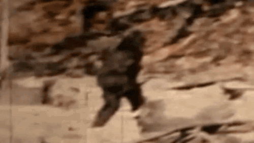 tumblr_nhy5qtEp921qaqx8xo1_500.gif