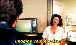 tumblr_m1qjyfY7y71qaxm50o1_250.gif
