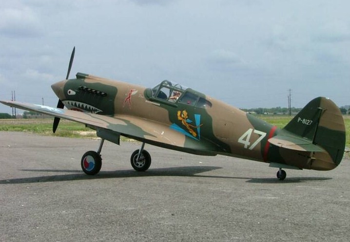 P40hawkdone11.jpg