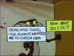 wileecoyote.jpg