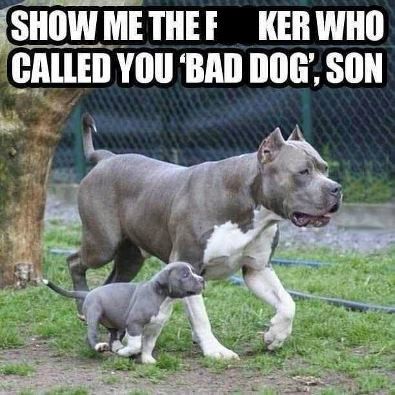 1355febb83c9a14c1eac422c6638d7cd.jpg