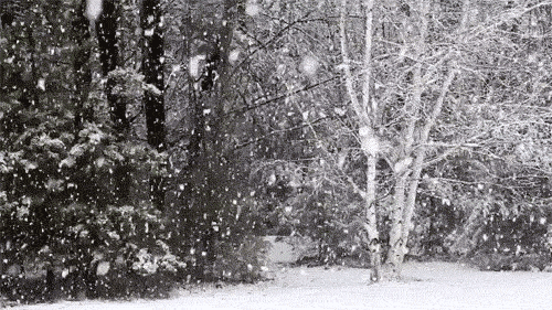 tumblr_ogdtjhzTOG1vbpfl3o1_500.gif