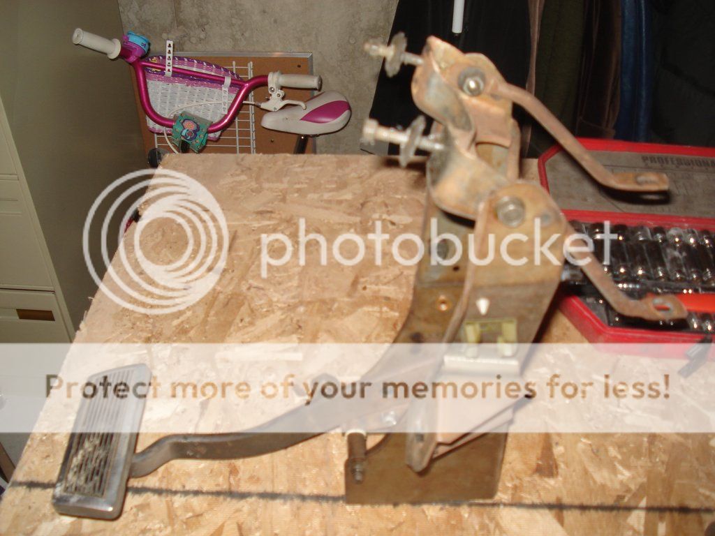 Dsc05781_zpsftqvrqhu.jpg