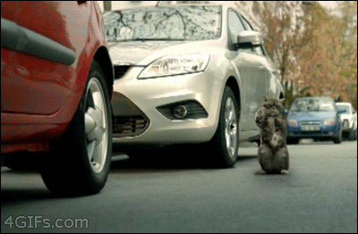 tumblr_n5d49qXwHl1qlbtloo1_400.gif