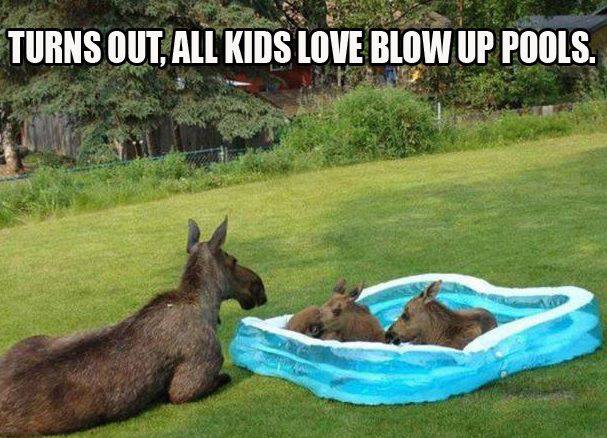 14%20-%20Blow%20up%20Pool.jpg