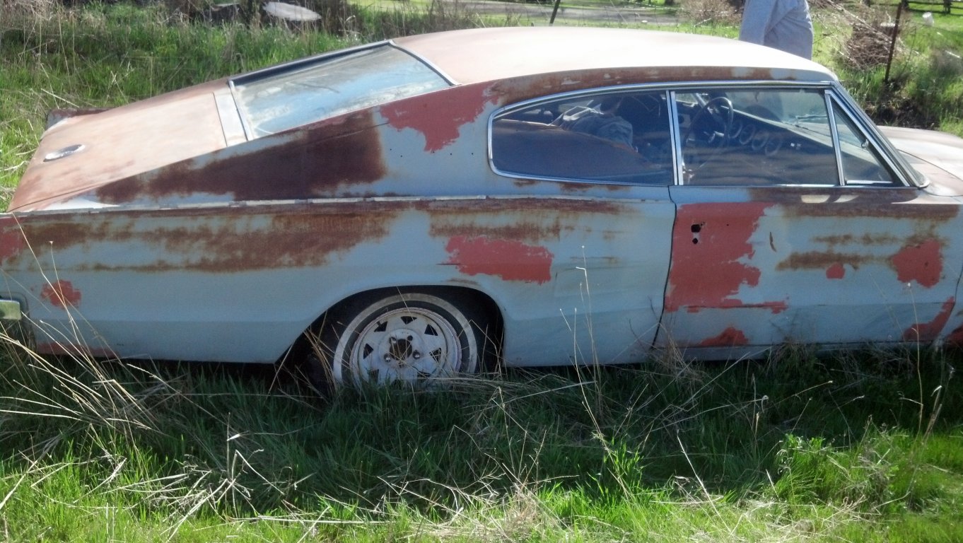 i11826.jpg