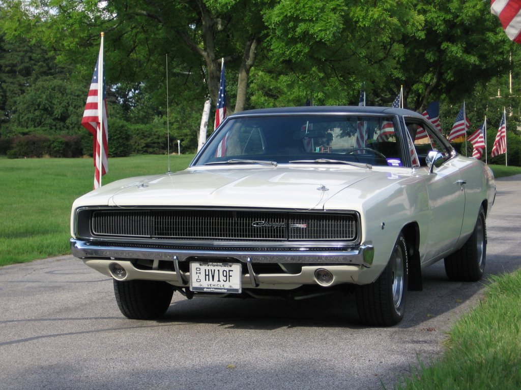 i10258.jpg
