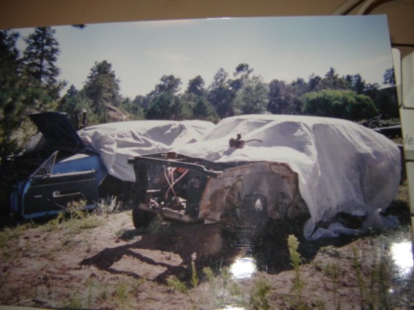 i12836.jpg