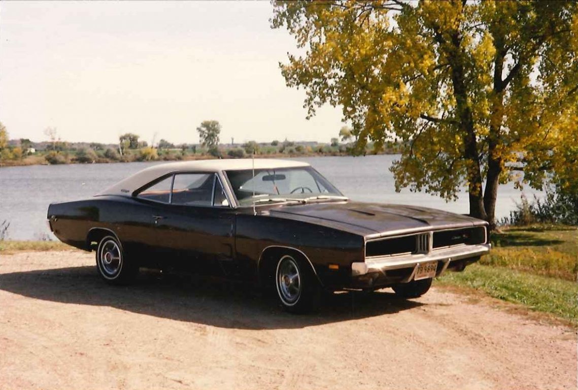 i8033.jpg