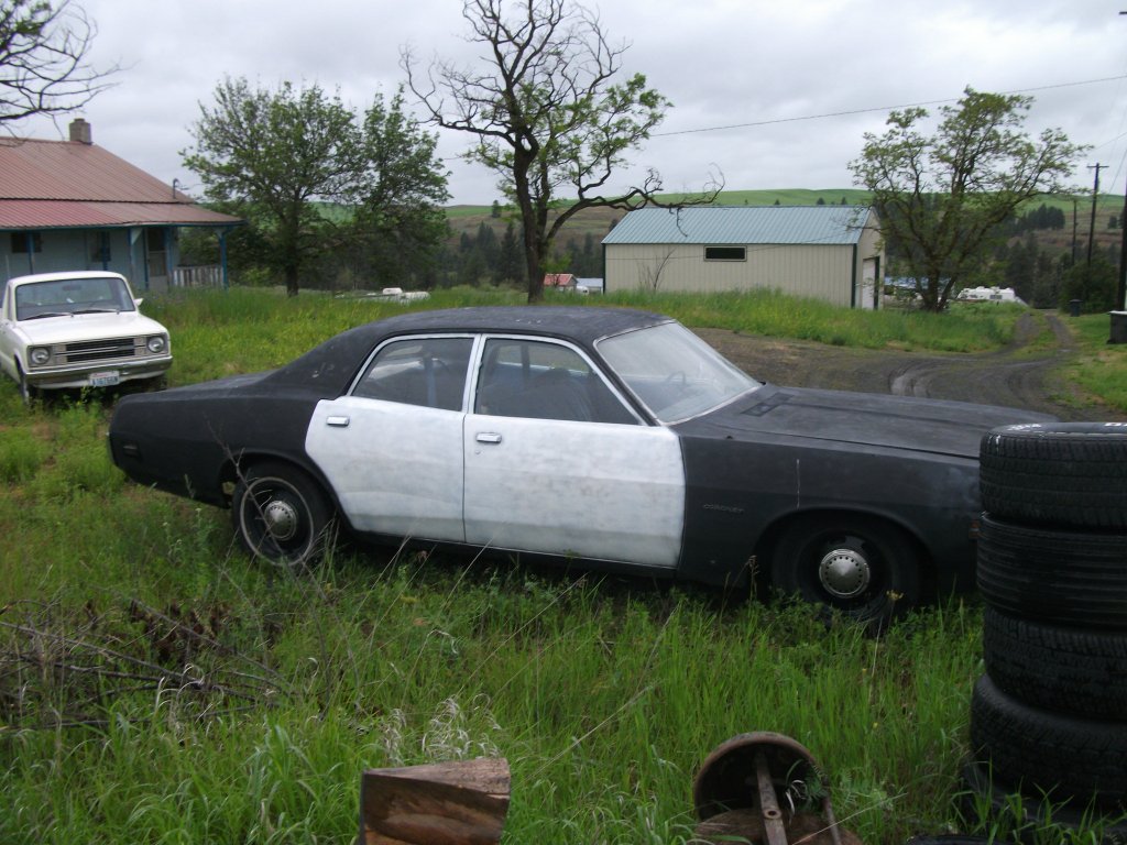 i10253.jpg