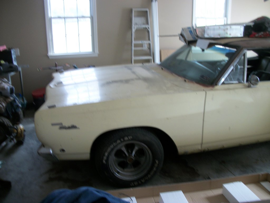 i15263.jpg