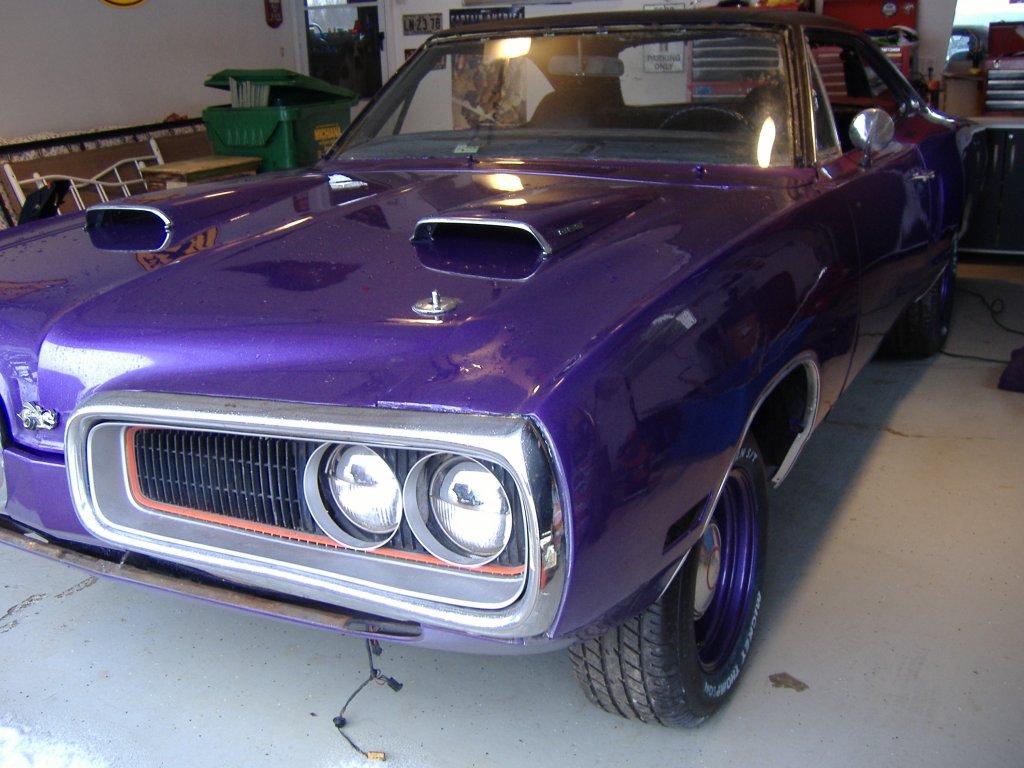 i10483.jpg