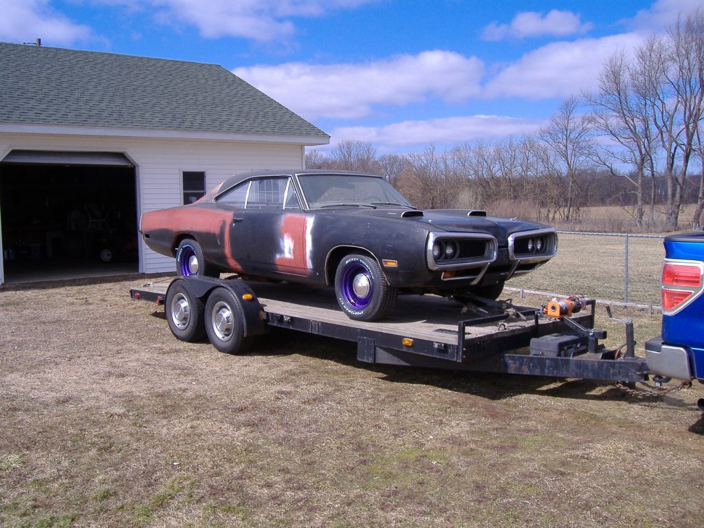 i8175.jpg